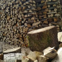 Rząd ułożonego drewna kominkowego, z pniem obrośniętym mchem na pierwszym planie i rozrzuconymi kawałkami drewna w różnych odcieniach szarości i brązu.