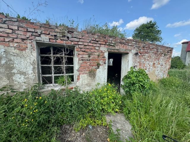Zrujnowany budynek z cegły z oknem bez szyb i wejściem, porośnięty roślinnością. Widoczne fragmenty muru i otaczająca zieleń.