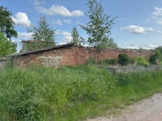 Ceglany mur pozostały po rozbiórce budynku, otoczony zielenią i drzewami w tle, sfotografowany w słoneczny dzień.