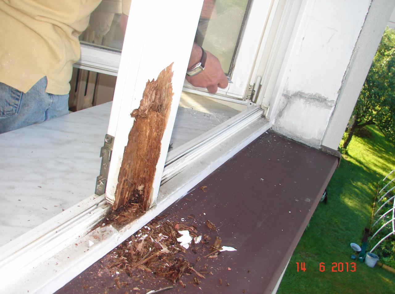 okno przed renowacją