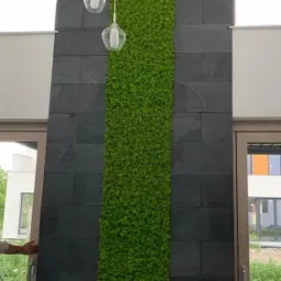 Łupek z wstawką z mchu Chrobotek