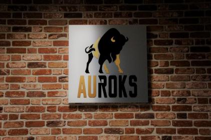 Auroks Sp. z o.o. - Piece i kotły CO Niepołomice