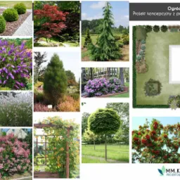 Projekt ogrodu z propozycją roślinności