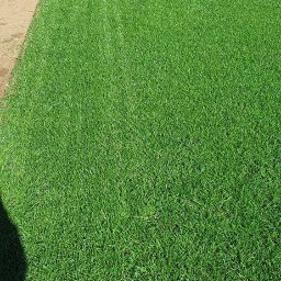 Projektowanie ogrodów Kowiesy 2