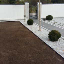Grass&Water - Przygotowany teren pod trawnik z obrzeżami, ścieżka z kostki i białego grysu, niskie krzewy kuliste, młode drzewka i biały mur z bramą w tle.