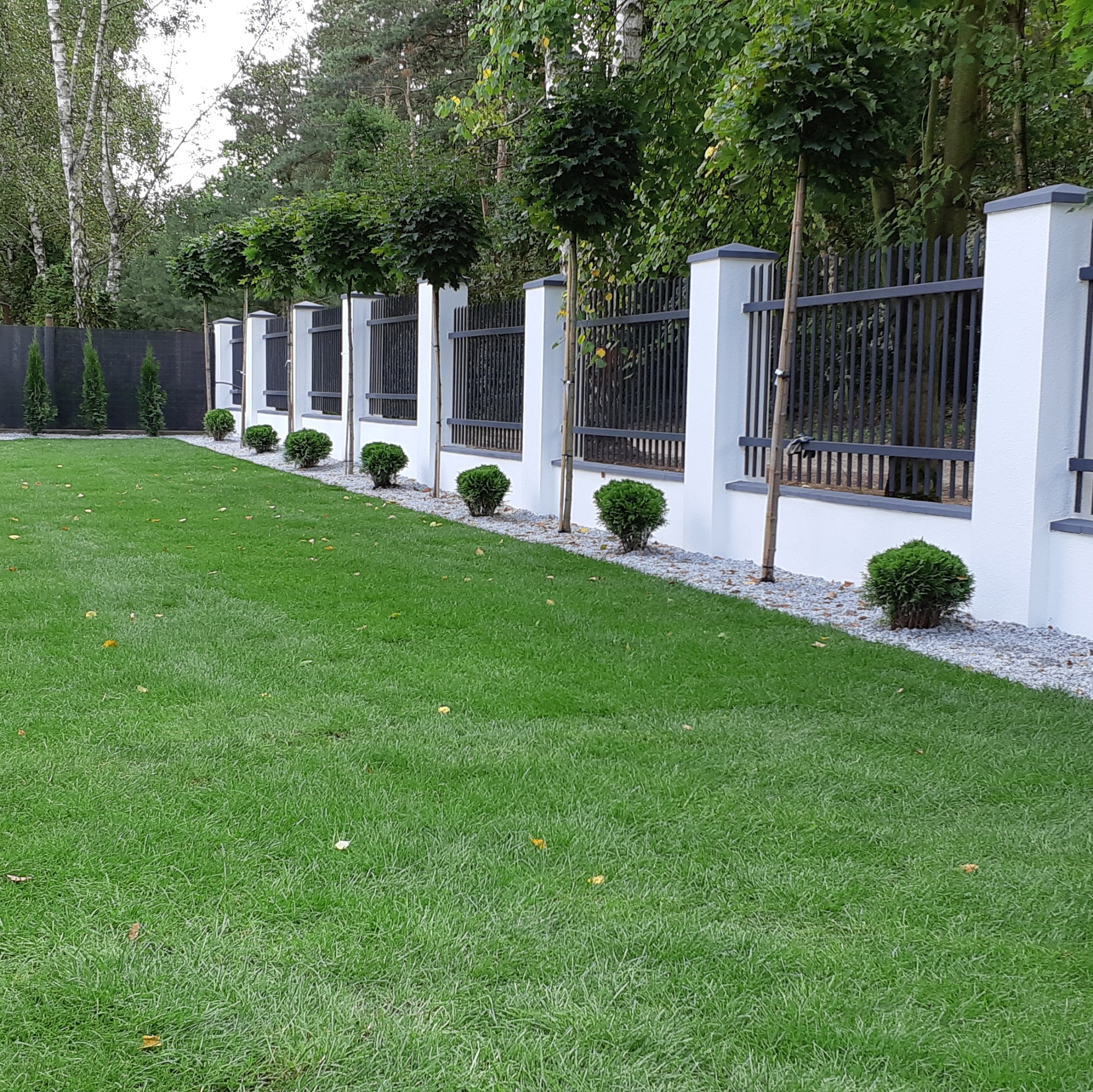 Zadbany trawnik z równo przyciętą trawą, obok którego rosną drzewa i krzewy ozdobne wzdłuż nowoczesnego ogrodzenia z białymi słupkami i czarnymi przęsłami.