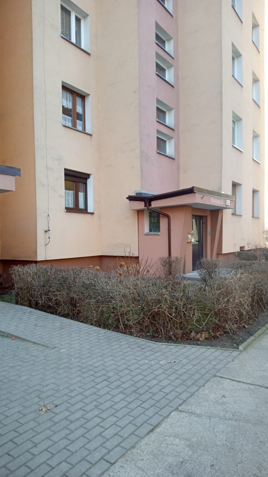 Fasada budynku wielorodzinnego z rynnami i wejściem osłoniętym daszkiem. Widoczne okna z brązowymi ramami i szara kostka brukowa przed budynkiem.