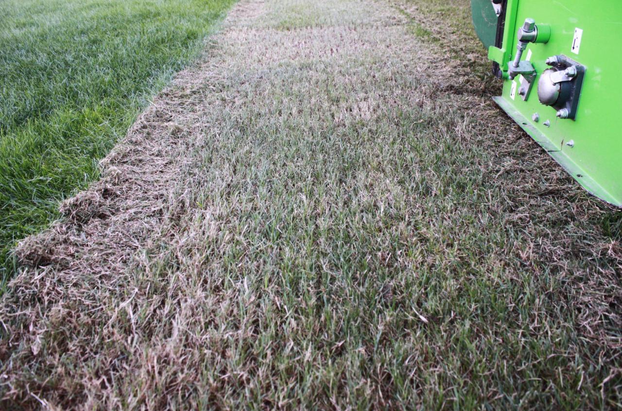 Fragment trawnika po wertykulacji z widocznym fragmentem zielonej maszyny do wertykulacji, obok obszar z bujną, nieprzyciętą trawą.