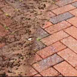 Częściowo wyczyszczona kostka brukowa ułożona w jodełkę, pokazująca różnicę między brudną, porośniętą mchem powierzchnią a czystą, umytą częścią.