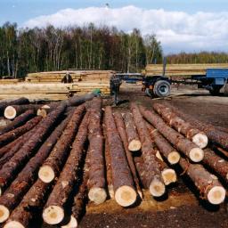 Drewnopol - Skład Drewna Nowy wiec