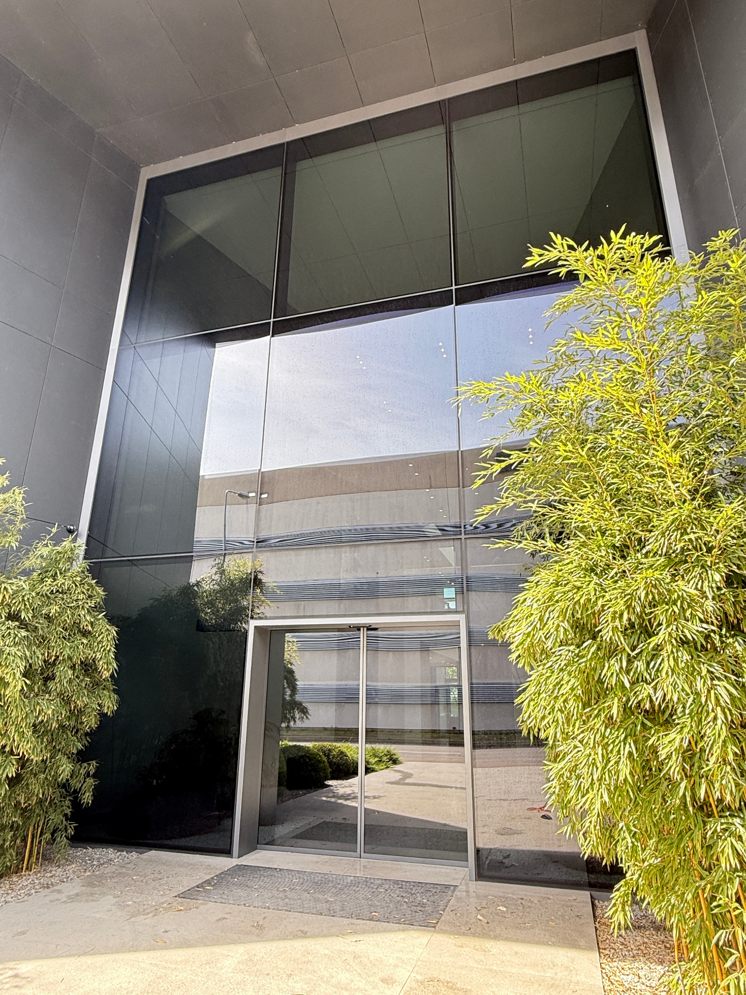 Szklana fasada biurowca z odbiciem otoczenia i roślinami. Widoczne czyste szyby i wejście. Minimalistyczny design budynku.