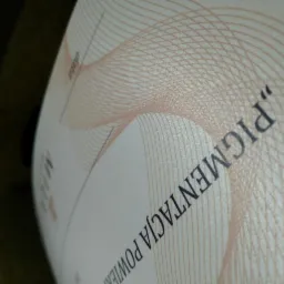 Fragment druku z napisem 'Pigmentacja Powiek' i delikatnym wzorem w tle, zrobiony pod kątem.