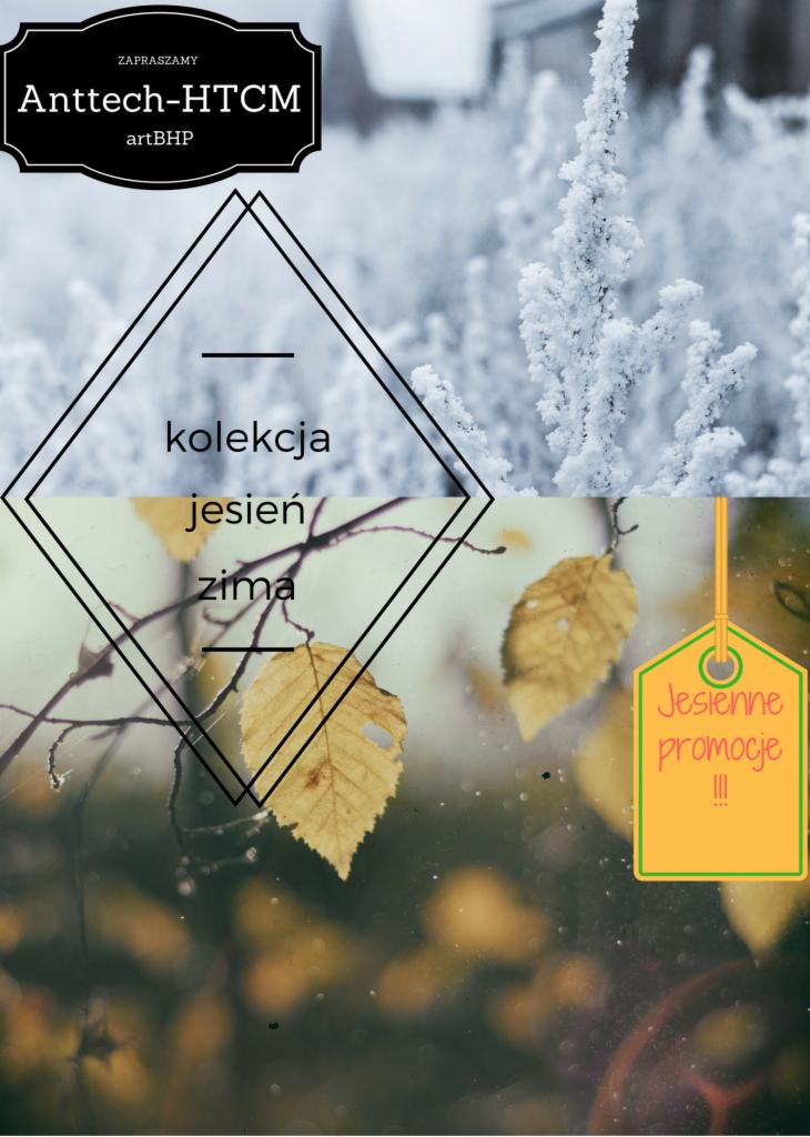 Grafika reklamowa kolekcji jesień/zima firmy Anttech-HTCM artBHP, z żółtymi liśćmi i oszronionymi gałązkami na tle oraz etykietą 'Jesienne promocje'.