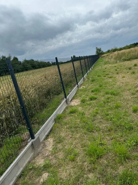 Długa, panelowa, ocynkowana siatka ogrodzeniowa z betonową podmurówką, oddzielająca pole zboża od trawnika, widziana z perspektywy ziemi w pochmurny dzień.