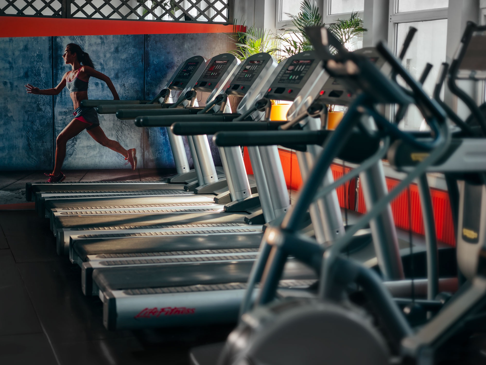 Kobieta biegnie na bieżni w siłowni; rząd bieżni w tle, sportowy strój, widok z boku, dynamiczne ujęcie.