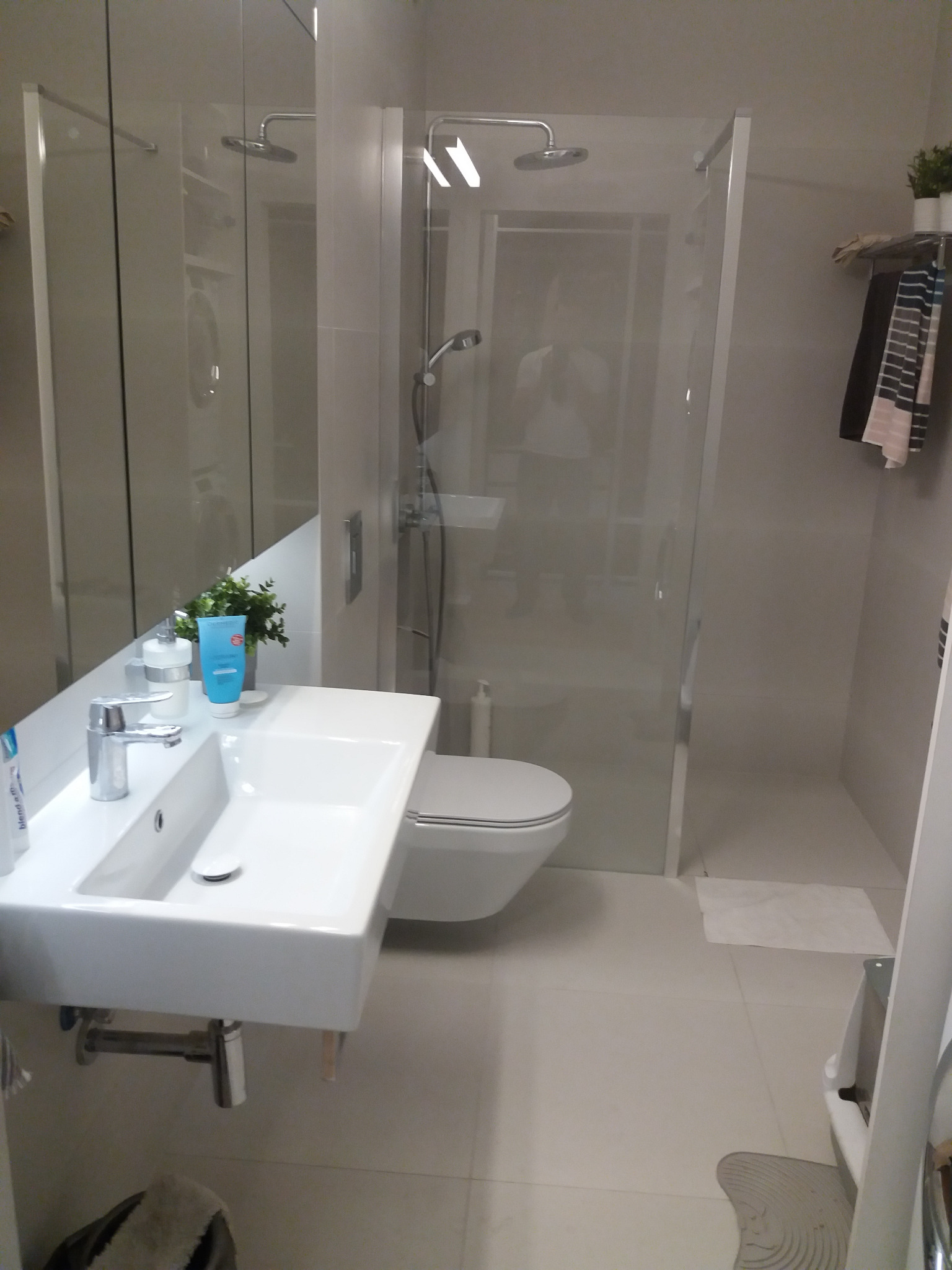 Nowoczesna łazienka z kabiną prysznicową typu walk-in, wiszącą umywalką z chromowaną baterią, toaletą, i dodatkami w postaci ręczników i roślin doniczkowych. Widoczna butelka kosmetyku w odcieniu...