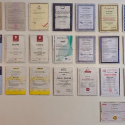 Dezynsekcja i deratyzacja Rybnik 2