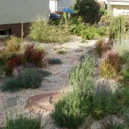 Ogród stepowy z kamiennymi ścieżkami, ozdobnymi trawami i niskimi krzewami, otoczony budynkami mieszkalnymi.