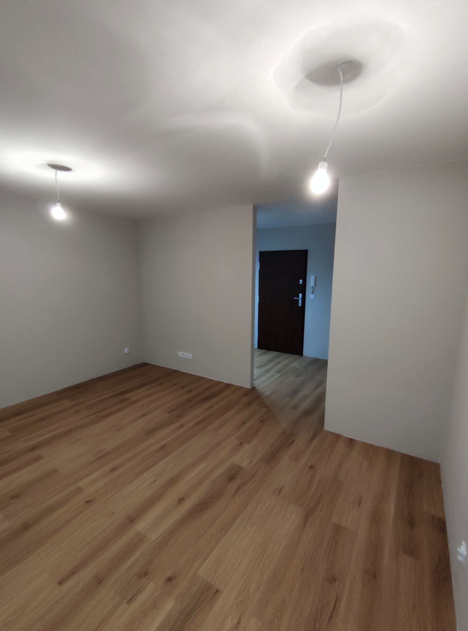Pomalowane na szaro wnętrze z panelami podłogowymi, widoczne wiszące żarówki i wejście z brązowymi drzwiami.