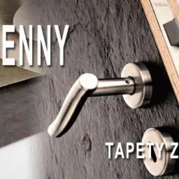 Kompozycja przedstawiająca fornir kamienny, drzwi obite łupkiem naturalnym z metalową klamką oraz kominek wykończony płytami z łupka, schody w tle.