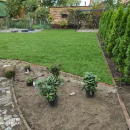 Zakładanie ogrodów od podstaw