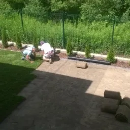 Dwaj mężczyźni układają darń z rolki na przygotowanym podłożu, widoczne zwinięte rolki trawy, obrzeże z kory i rząd małych drzewek wzdłuż ogrodzenia.