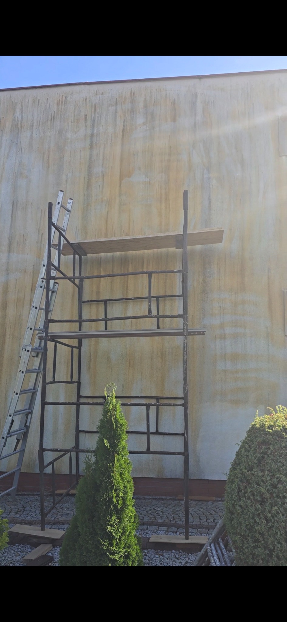 Elewacja budynku z widocznymi zabrudzeniami, rusztowanie metalowe z drewnianą platformą, drabina oparta o rusztowanie, oraz ozdobne krzewy iglaste u podstawy elewacji.