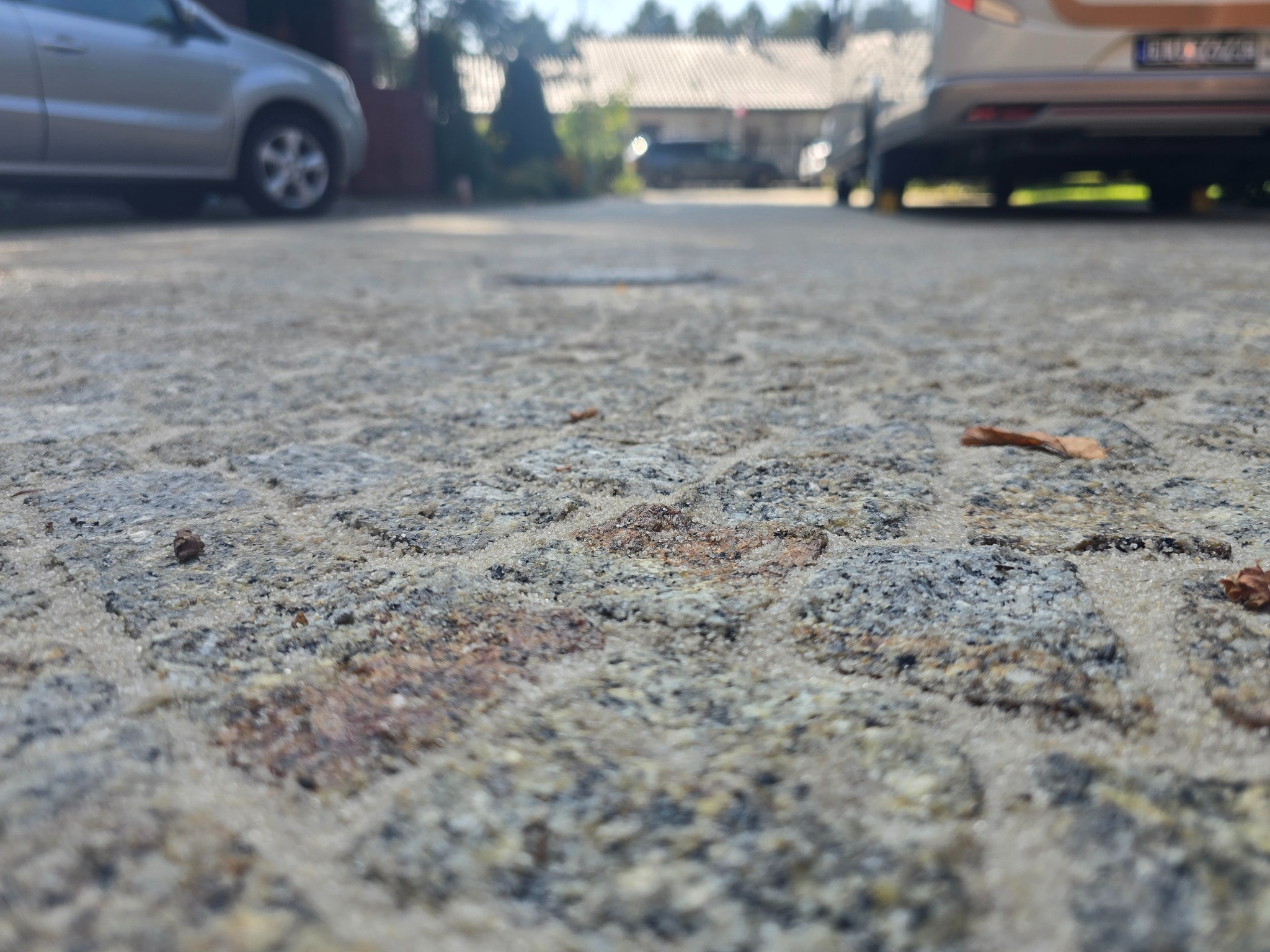 Niski kąt ujęcia szarej kostki brukowej z widocznym fragmentem zaparkowanego samochodu i budynku w tle, z pojedynczym brązowym liściem na powierzchni.
