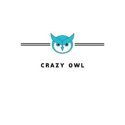 Crazy Owl - Teksty Reklamowe Sosnowiec