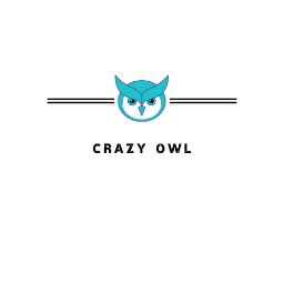 Crazy Owl - Wizerunek Marki Sosnowiec