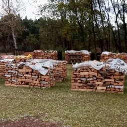 Ułożone stosy drewna kominkowego, częściowo przykryte folią, na trawiastym terenie z drzewami w tle.