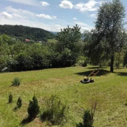 Żółto-czarna kosiarka spalinowa na nierówno skoszonej trawie na tle drzew i wzgórz w słoneczny dzień.