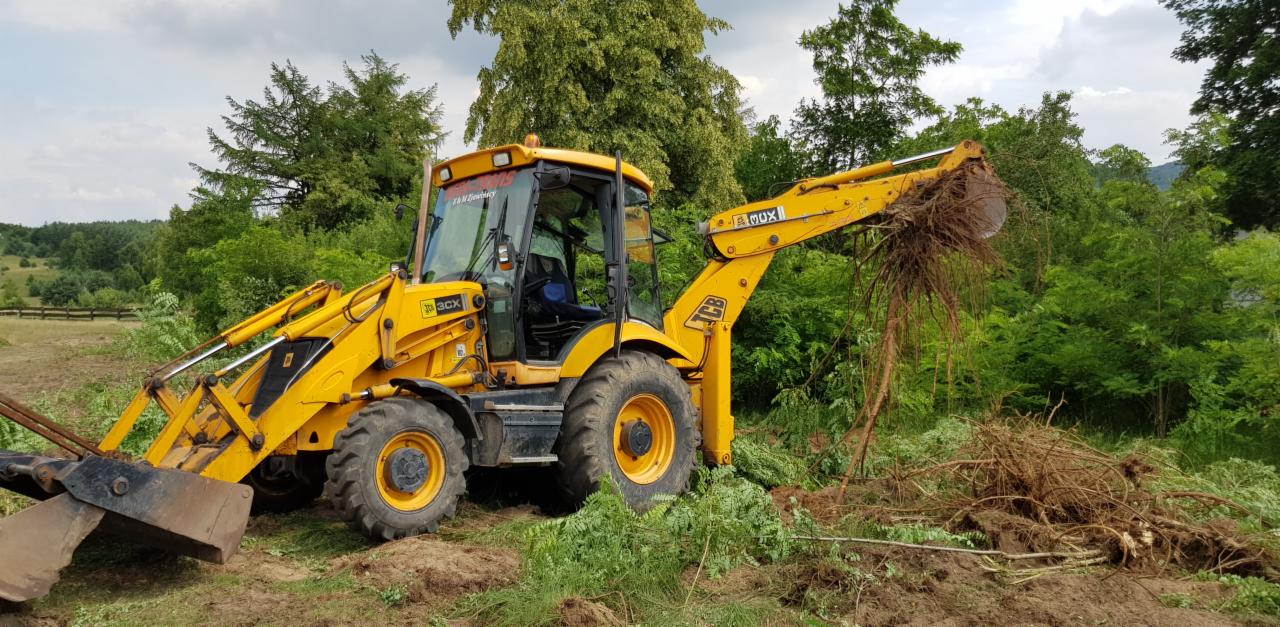 Żółta koparko-ładowarka JCB podnosi korzenie drzew na tle zieleni i pagórkowatego krajobrazu.
