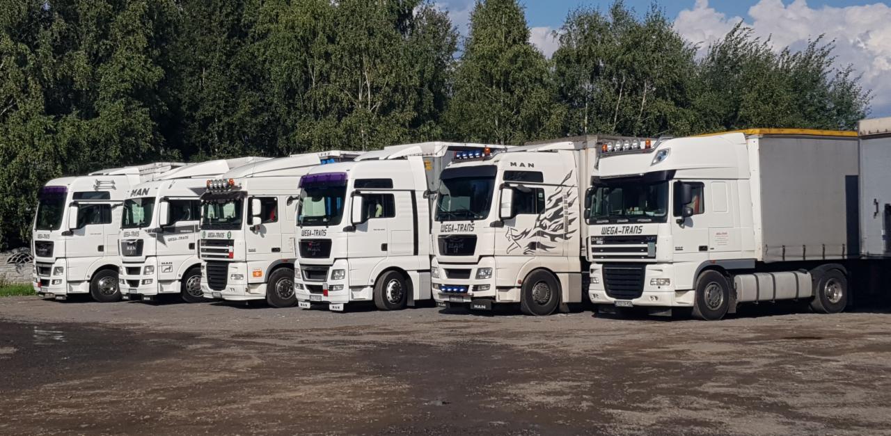 Flota białych ciężarówek MAN firmy WEGA-TRANS ustawiona w rzędzie na placu, z drzewami w tle i dekoracyjnymi naklejkami na kabinie jednej z nich.