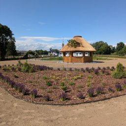 Sadzenie drzew i krzew&oacute;w Brzeziny