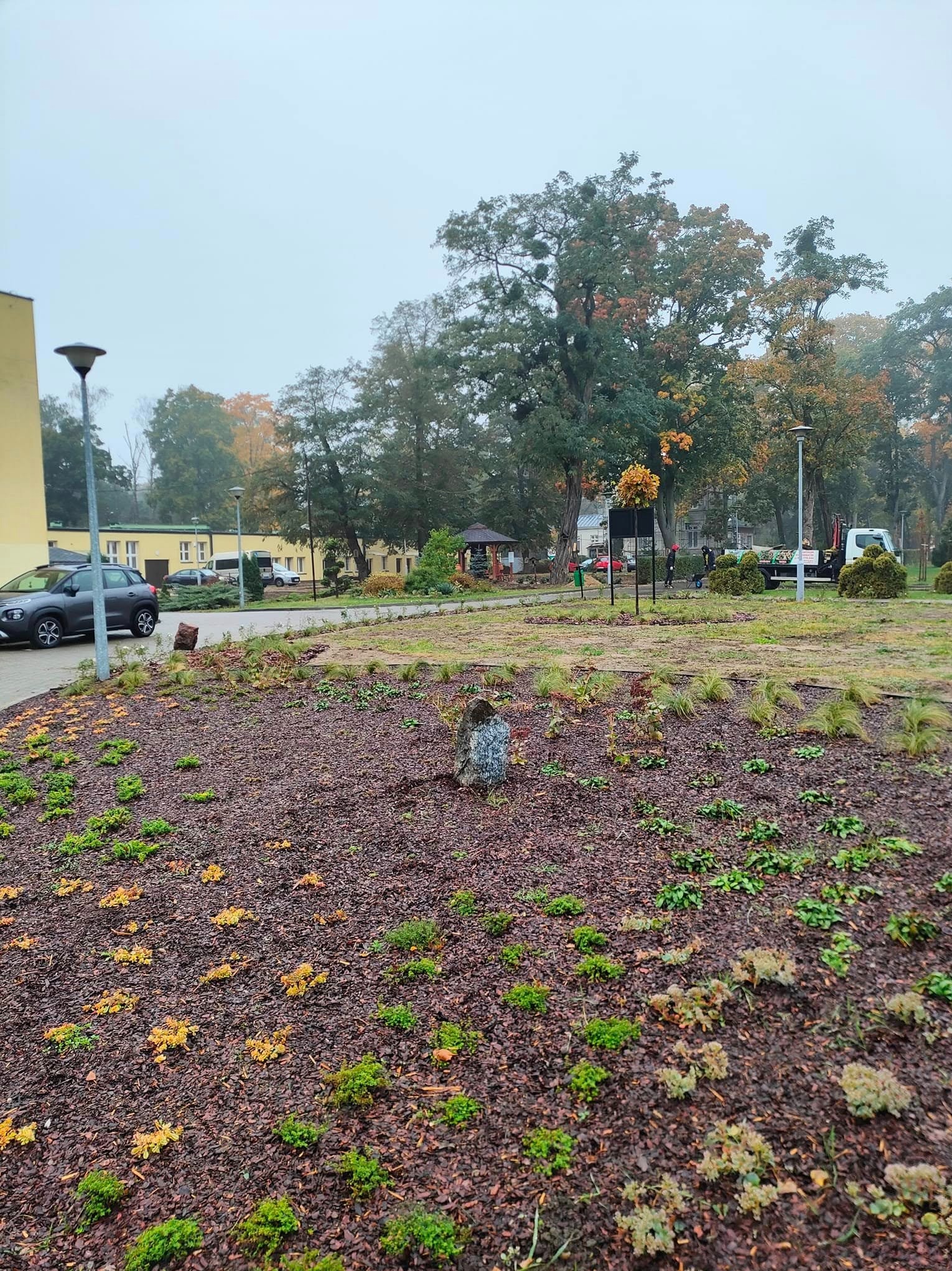 Rabata bylinowa , nasadzenia wykonane na terenie DPS w Wiśniowej Górze.