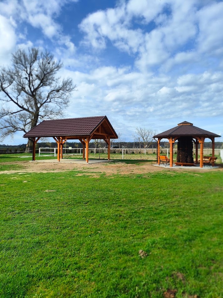 Montaż elementów małej architektury (altany oraz tężni solankowej) na terenie DPS w Dąbrowie.