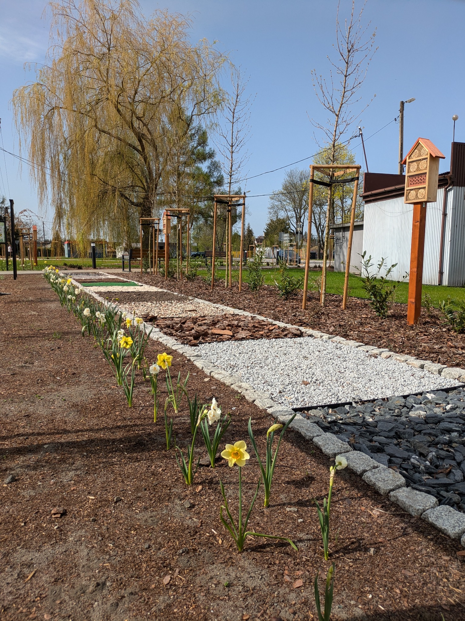 Ścieżka sensoryczna na terenie skweru w Rogowie.