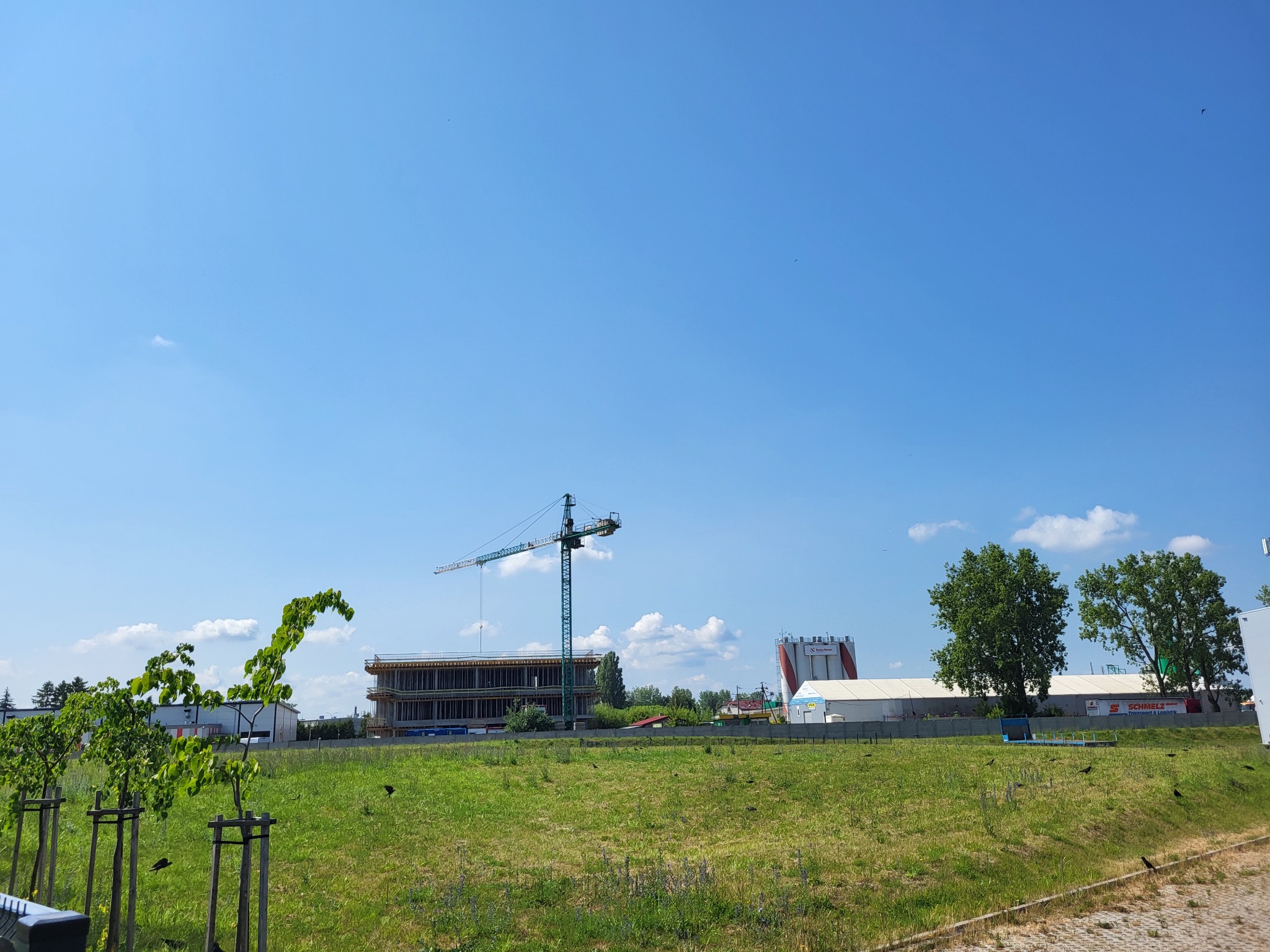 Wczesny etap budowy budynku żelbetowego z widocznym szkieletem konstrukcji i żurawiem na tle błękitnego nieba.