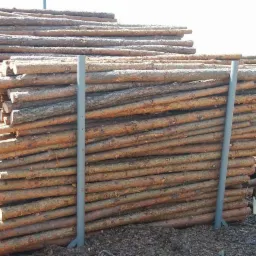 Stos okrąglaków drewna iglastego, zabezpieczony metalowymi słupkami, składowany na placu z korą i drobnymi gałęziami.