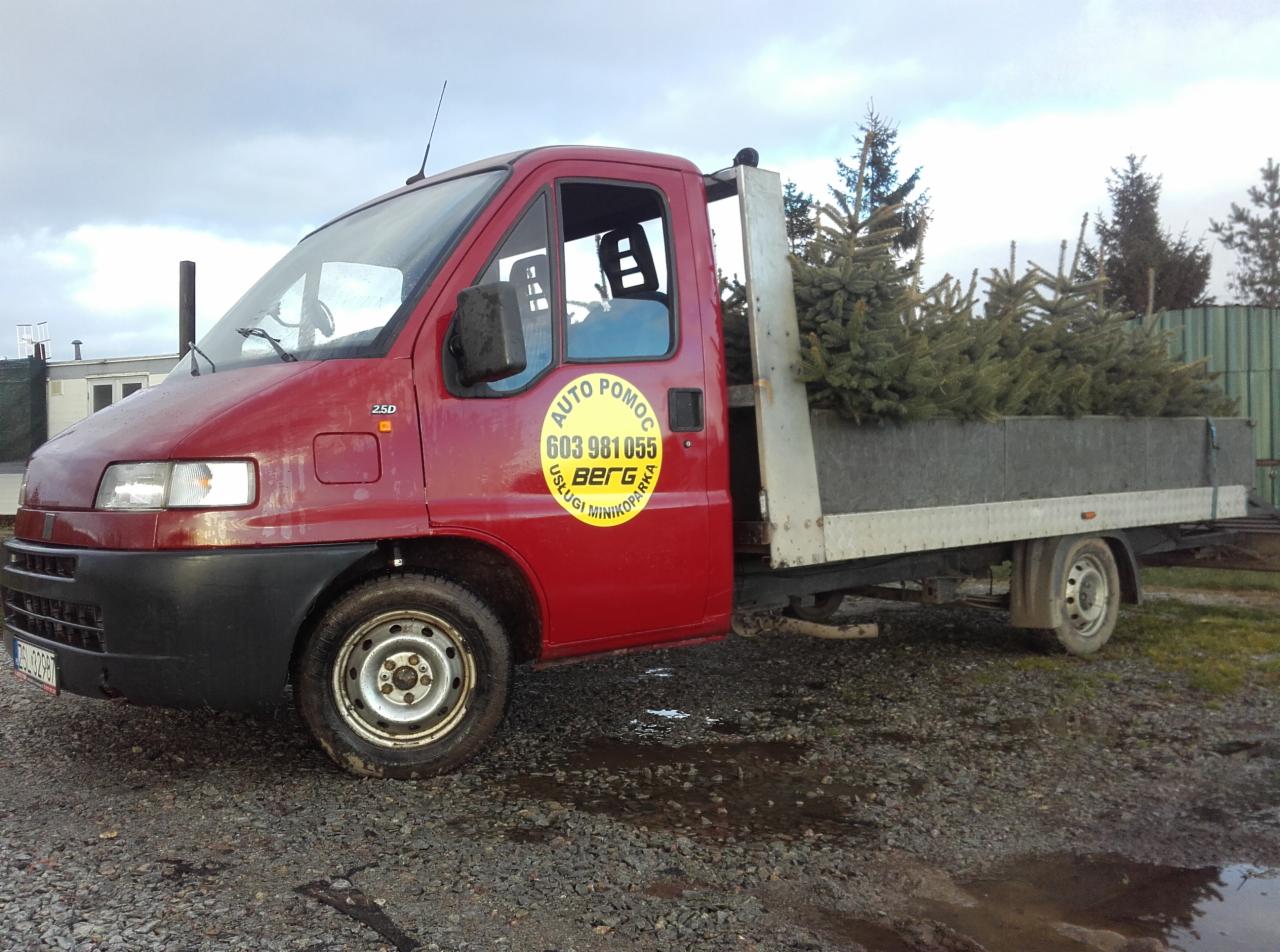 Czerwony samochód dostawczy z logo firmy przewozi świerki na przyczepie, widoczne mokre podłoże z kamieni.