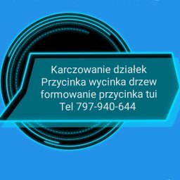 wycinkadrzew-krakow.pl - Producent Trawy z Rolki Kraków