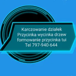 Grafika reklamowa z tekstem: Karczowanie działek, Przycinka wycinka drzew, formowanie przycinka tui oraz numer telefonu 797-940-644, na niebieskim tle z geometrycznymi elementami.