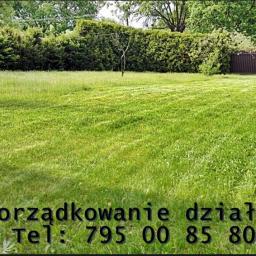 Pielęgnacja ogrodów Łódź 1