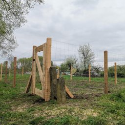 LIVBET-ECO - Ogrodzenia Systemowe - W trakcie budowy ogrodzenia z siatki: drewniane słupki i brama w surowym stanie, siatka rozpięta, w tle zielona trawa i drzewa pod pochmurnym niebem.