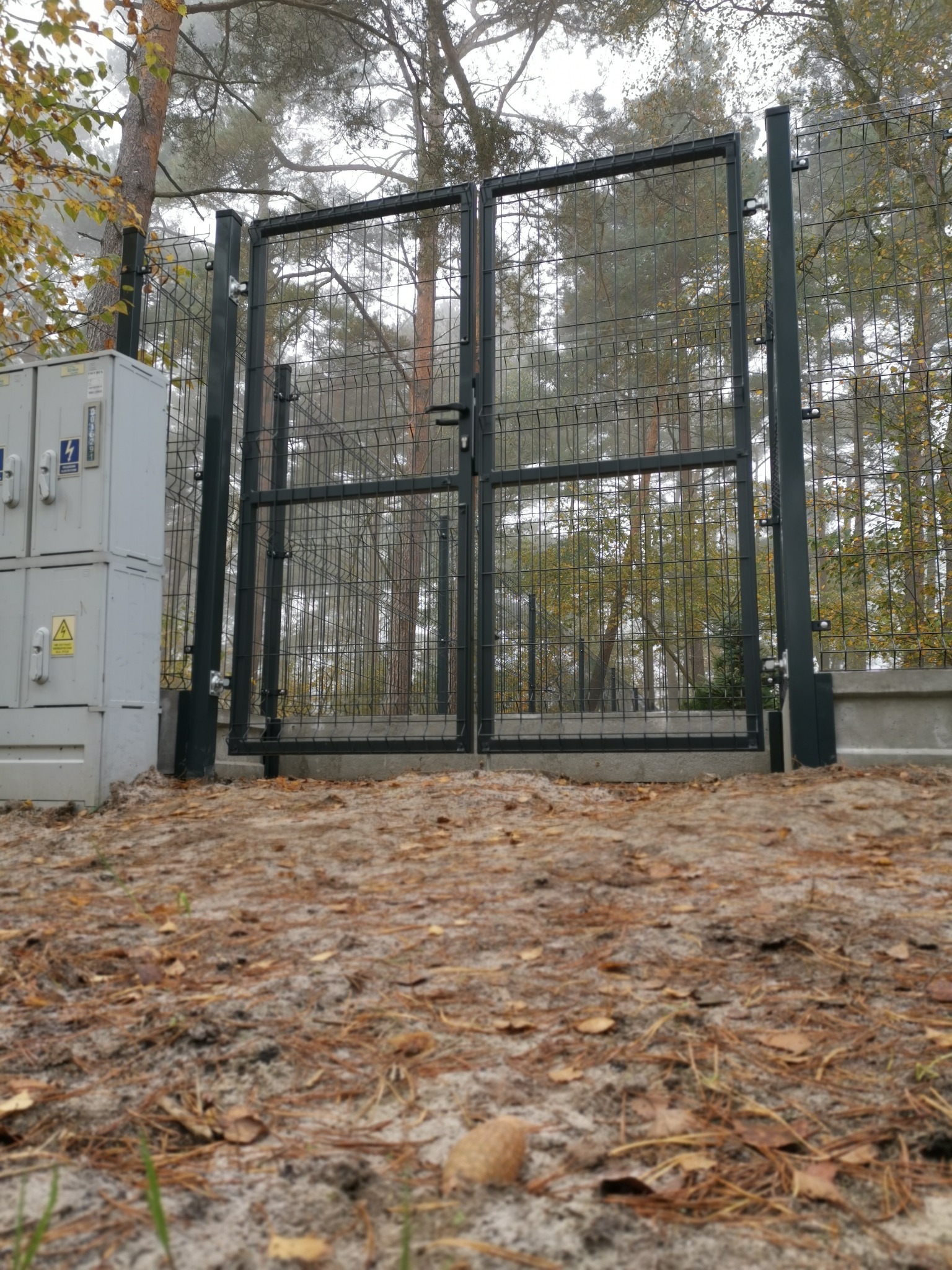 Metalowa brama dwuskrzydłowa z siatki, zamontowana na betonowej podstawie, widok z poziomu gruntu pokrytego igliwiem, w tle drzewa i skrzynka elektryczna.