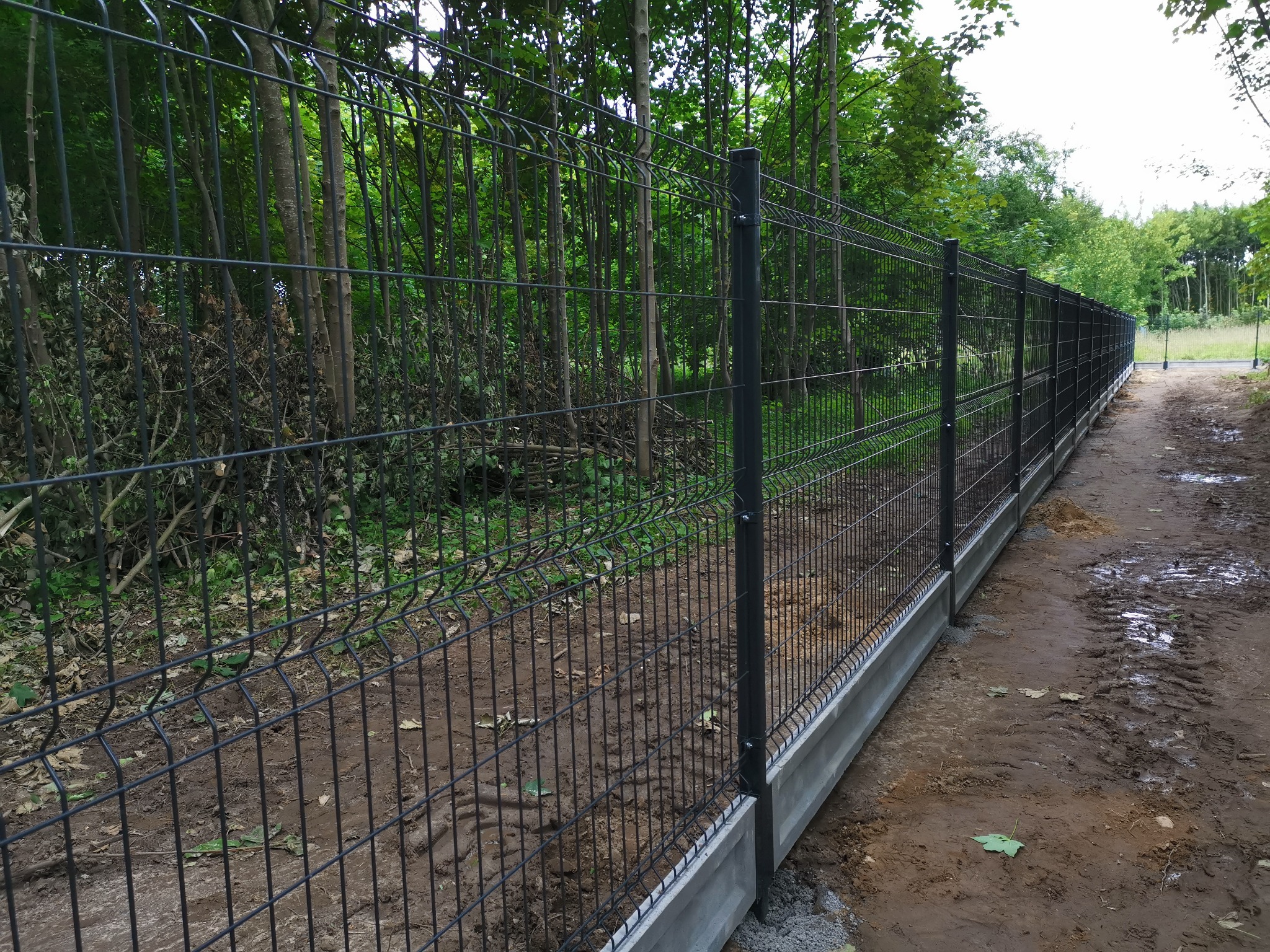 Długie, ciemne ogrodzenie panelowe z podmurówką betonową, oddzielające teren leśny od ścieżki gruntowej.