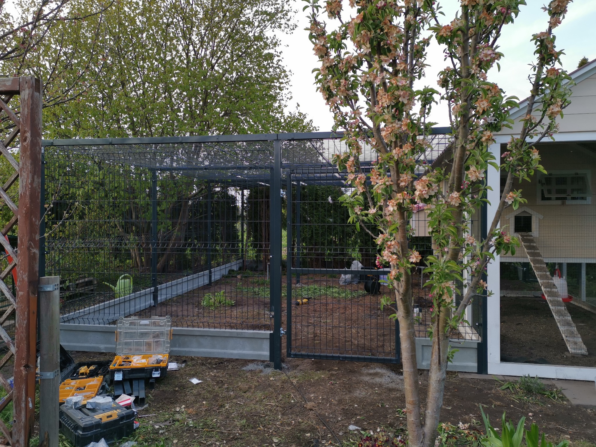 Czarny metalowy płot z bramą, widoczne narzędzia i skrzynki narzędziowe, w tle kurnik i kwitnące drzewo owocowe.