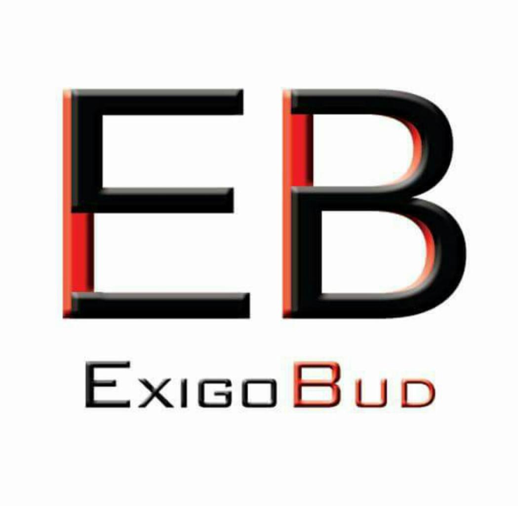 Logo firmy ExigoBud z dużymi literami EB w kolorze czarnym z czerwonym obrysem i nazwą firmy poniżej.