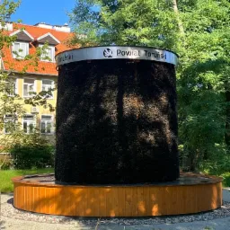 Tężnia solankowa w Toruniu, otoczona zielenią. Konstrukcja z drewna i tarniny z napisem 'Powiat Toruński'. W tle budynek z czerwonym dachem i drzewa.